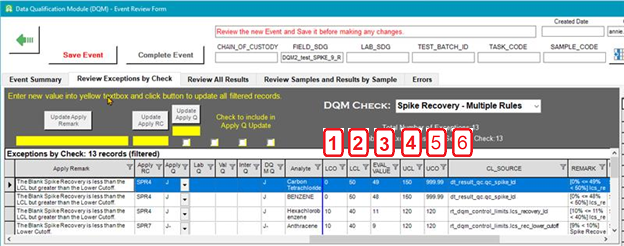 DQM_event_rvw_form_fields