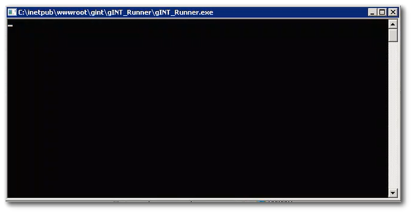 Geo-API_Runner_Setup9